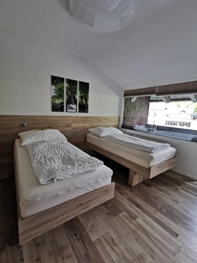 Appartement Mit Doppelbett Oder 2 Einzelbetten Бад Аусзее Экстерьер фото