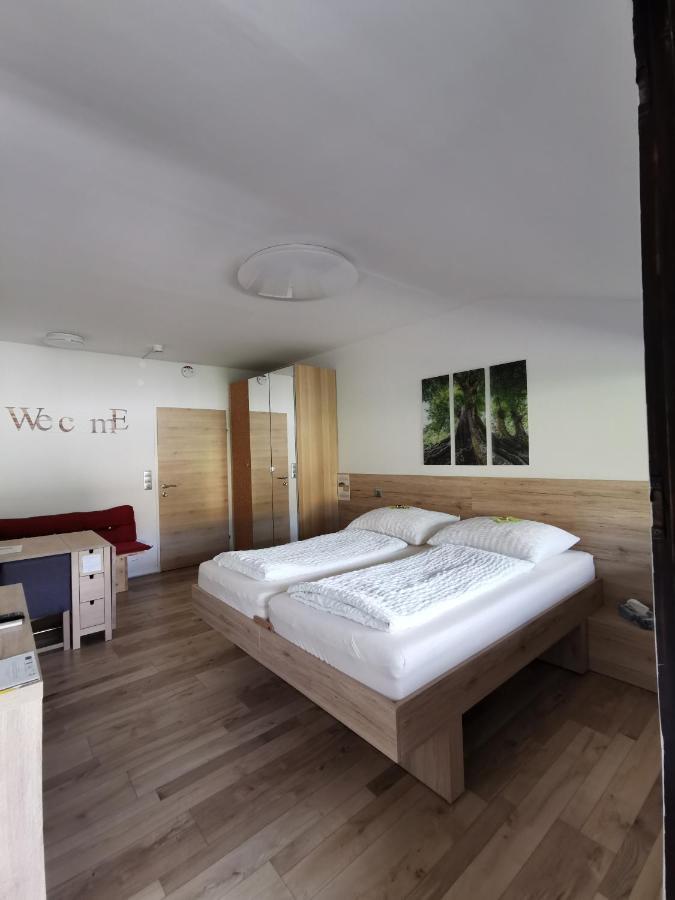 Appartement Mit Doppelbett Oder 2 Einzelbetten Бад Аусзее Экстерьер фото