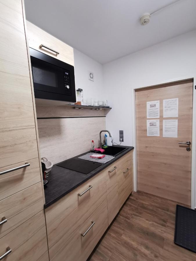 Appartement Mit Doppelbett Oder 2 Einzelbetten Бад Аусзее Экстерьер фото